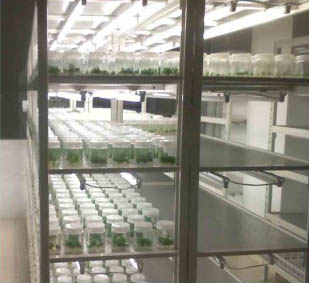 美順達培養(yǎng)架、樣品架展示